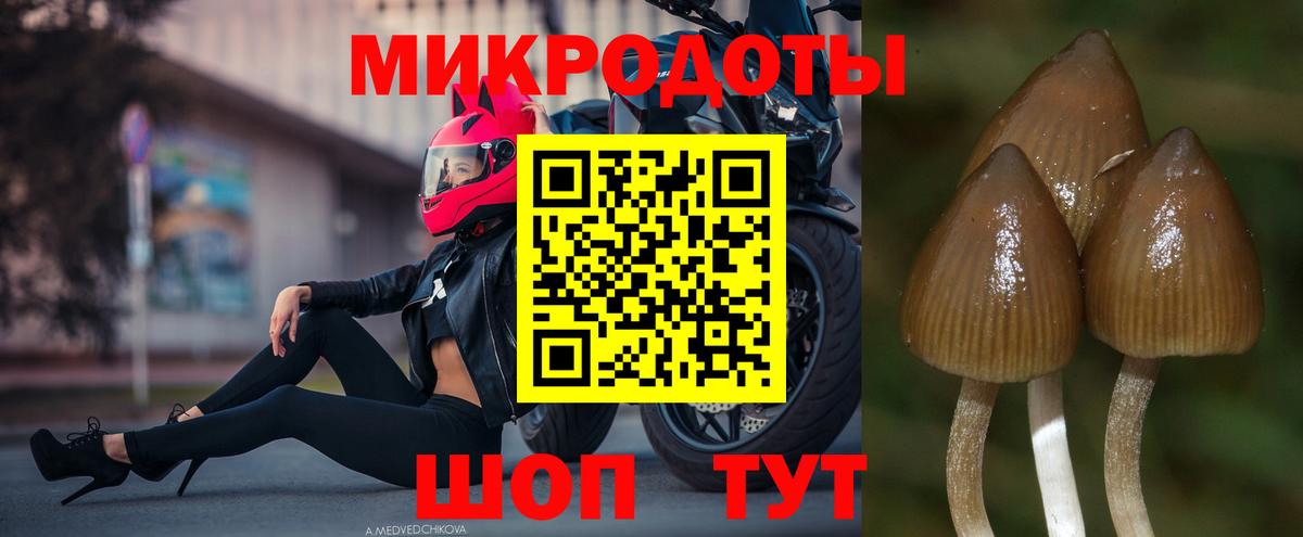 Галлюциногенные грибы ЛСД Георгиевск