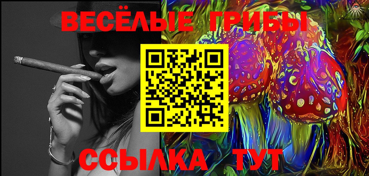Галлюциногенные грибы прущие грибы  Псилоцибиновые грибы GOLDEN TEACHER  как найти   Вход с VPN  Георгиевск 
