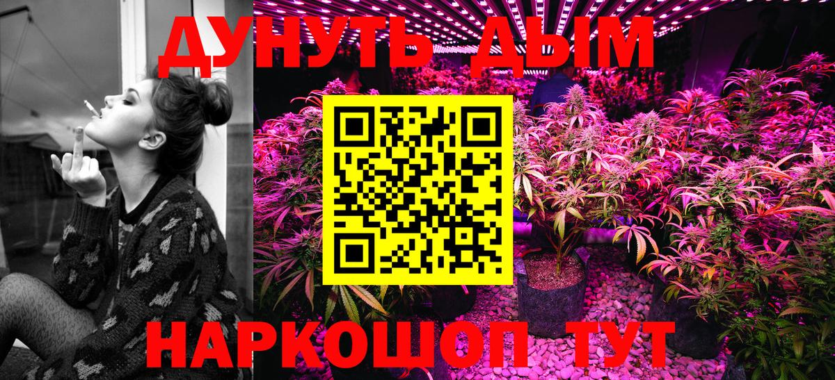 Бошки Шишки планчик Георгиевск